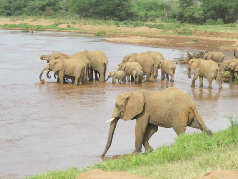 APT TA423 Exploits ScanBox Keylogger in Watering Hole Attacks - APT TA423, ScanBox keylogger, watering hole attack